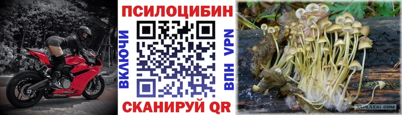 Галлюциногенные грибы Cubensis Гулькевичи